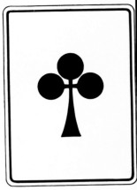 7. kg3.jpg